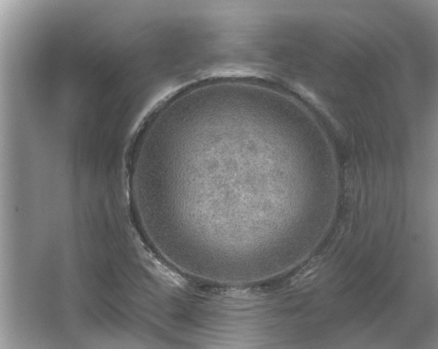 X0000067471408200604101147