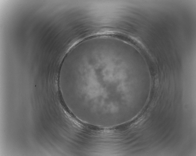 X0000067471409200604101147