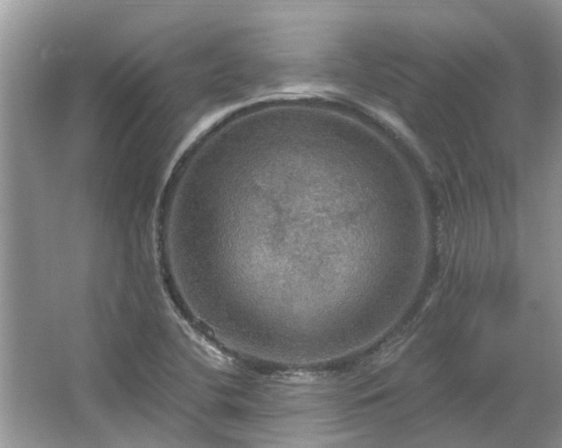 X0000067471412200604101147