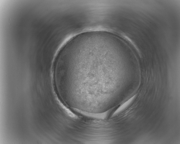 X0000067471416200604101147