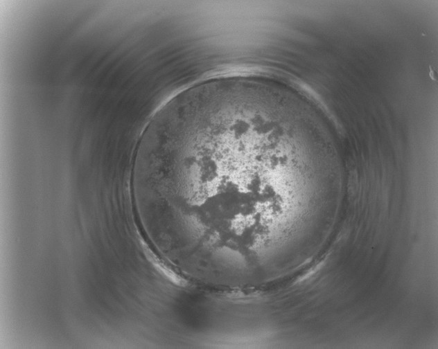 X0000067471417200604101147