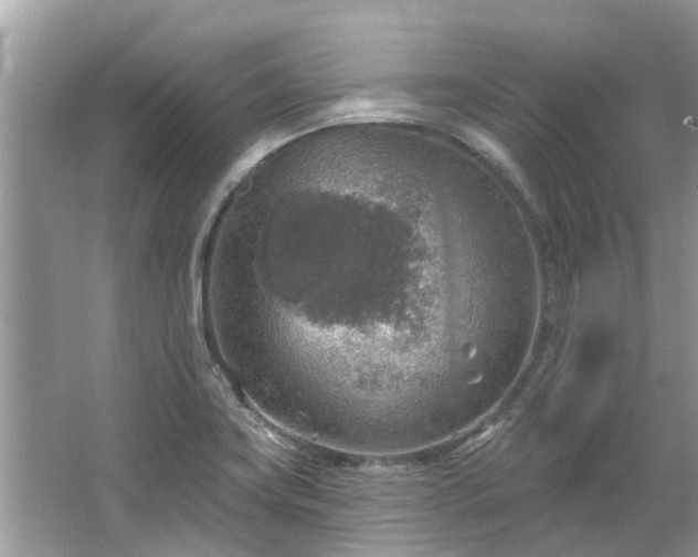 X0000067471419200604101147