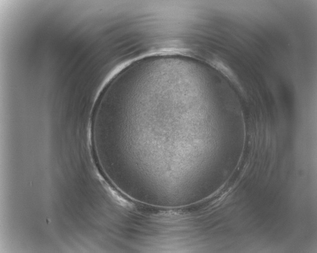 X0000067471420200604101147