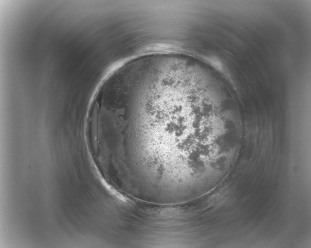 X0000067471421200604101147