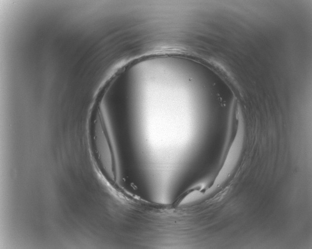 X0000067471422200604101147