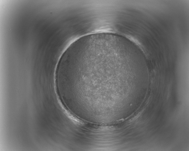 X0000067471423200604101147