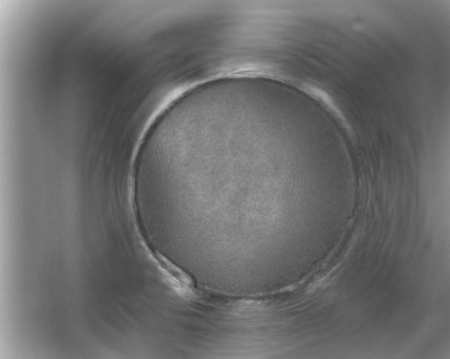 X0000067471424200604101147