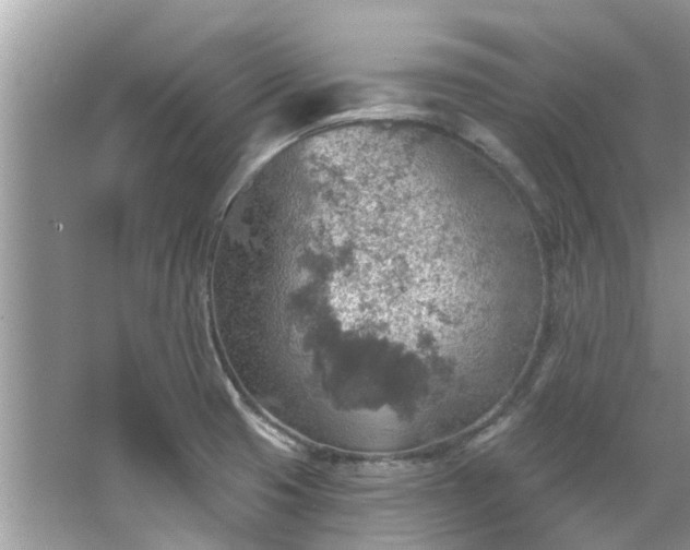 X0000067471425200604101147