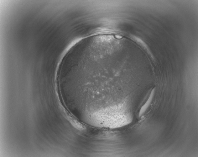 X0000067471427200604101147