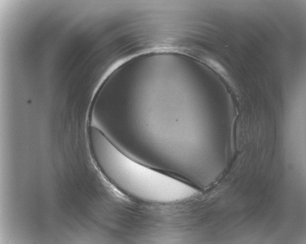 X0000067471428200604101147