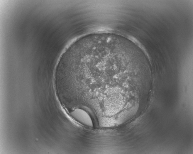 X0000067471429200604101147