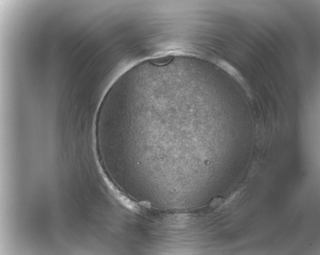 X0000067471431200604101147