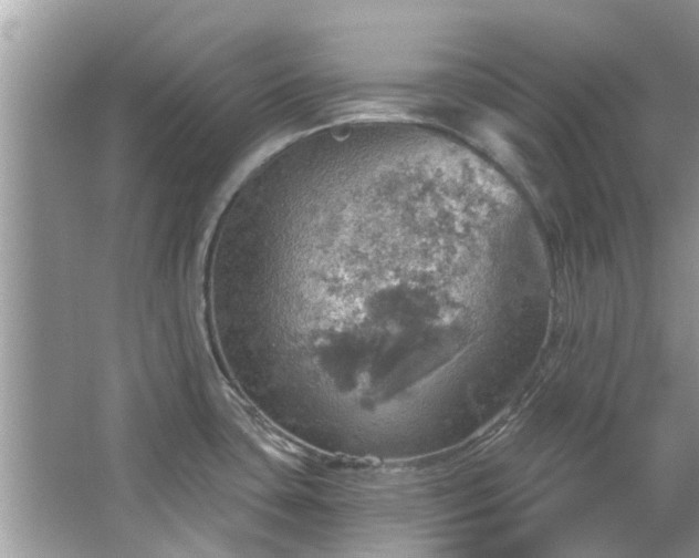 X0000067471435200604101147