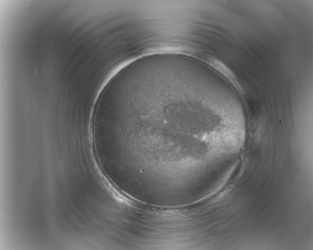 X0000067471436200604101147