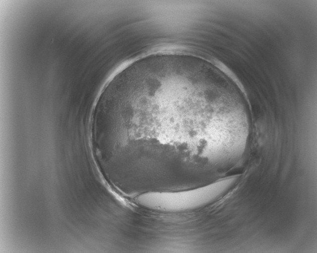 X0000067471437200604101147