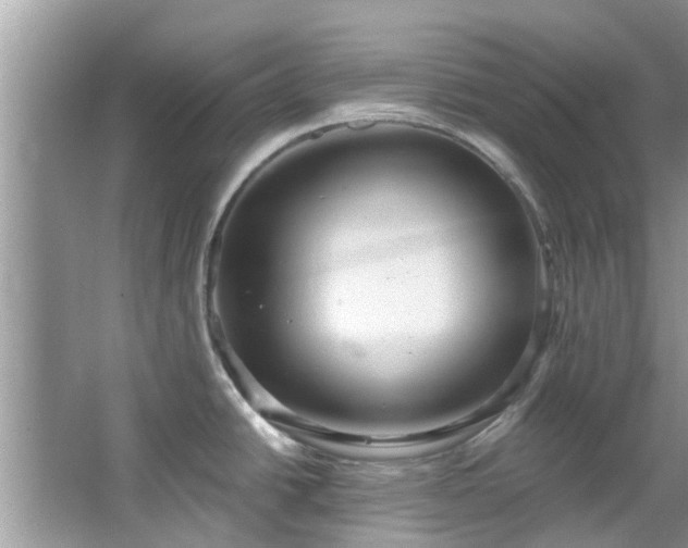 X0000067471438200604101147