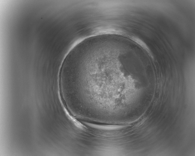 X0000067471439200604101147