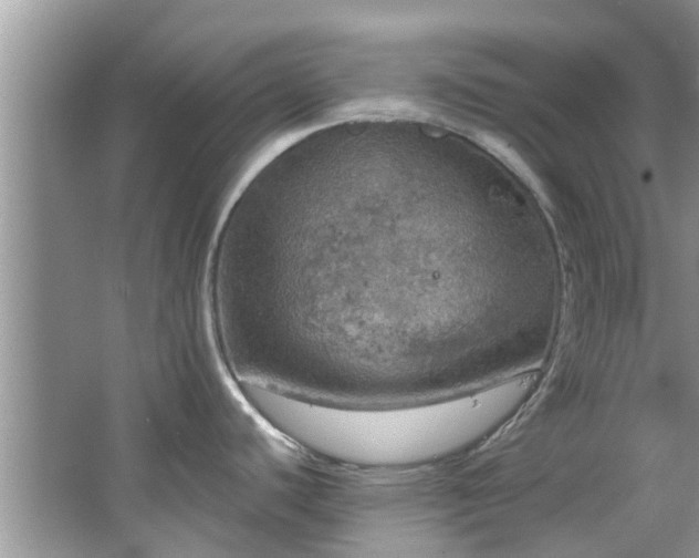 X0000067471440200604101147