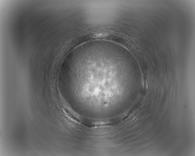 X0000067471441200604101146