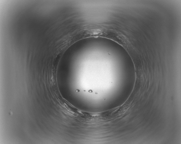 X0000067471442200604101146