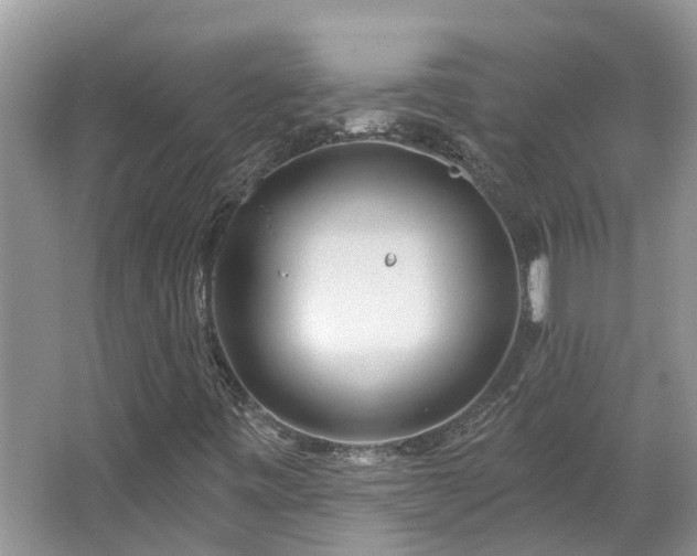 X0000067471443200604101146