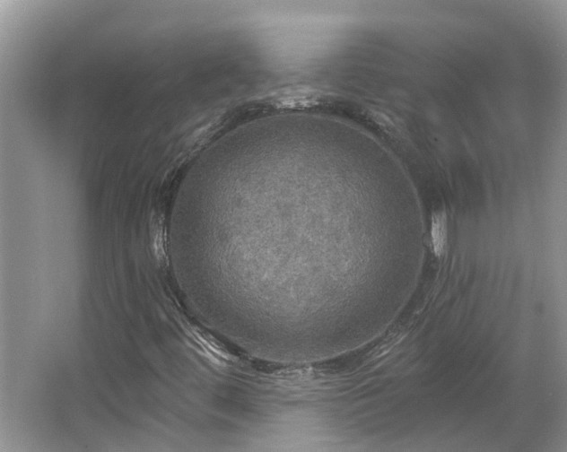 X0000067471444200604101146