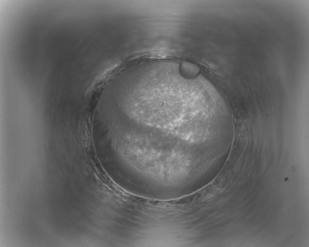 X0000067471446200604101146