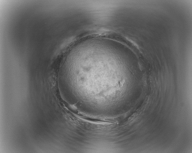 X0000067471447200604101146