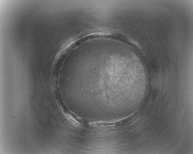 X0000067471448200604101146