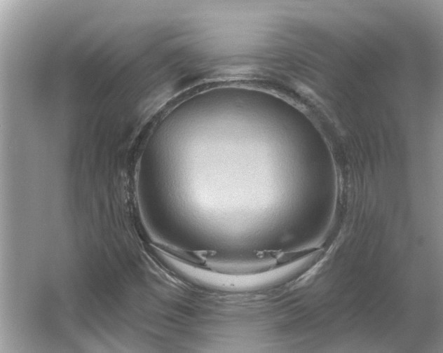 X0000067471449200604101146