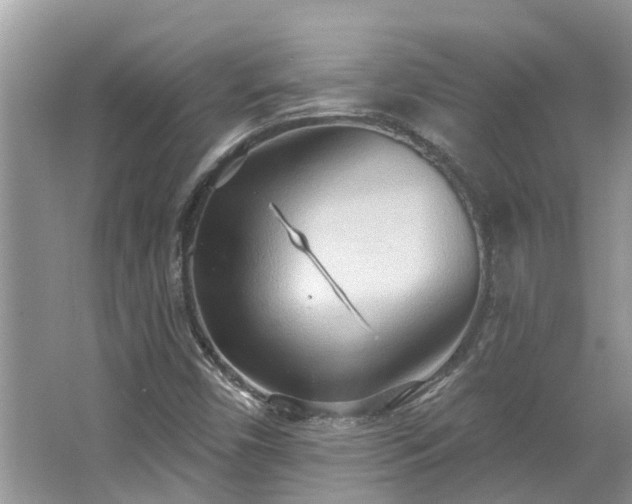 X0000067471450200604101146