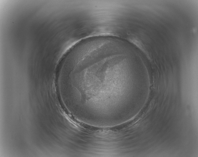 X0000067471452200604101146