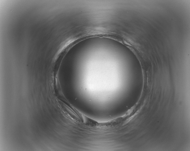 X0000067471453200604101146