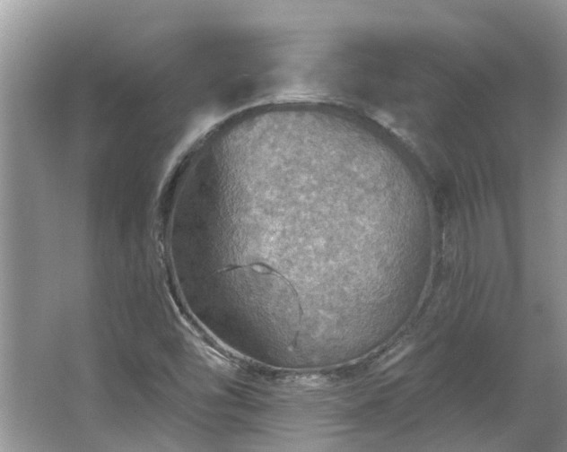 X0000067471454200604101146