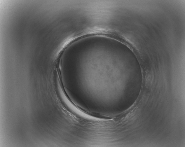 X0000067471455200604101146