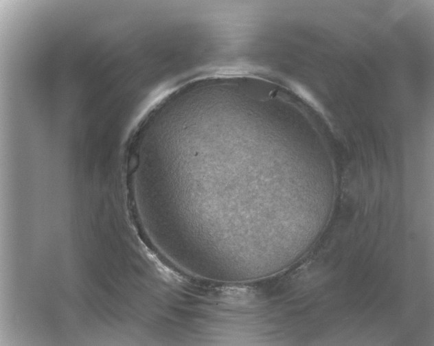 X0000067471456200604101146