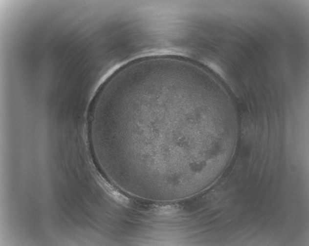 X0000067471460200604101146