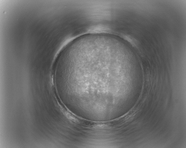 X0000067471462200604101146