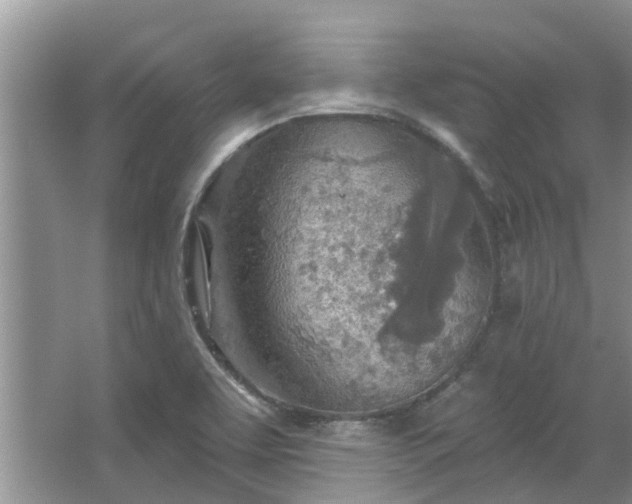 X0000067471463200604101146