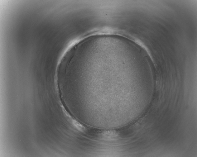 X0000067471464200604101146