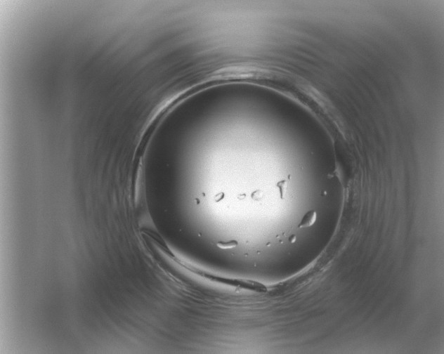 X0000067471465200604101146