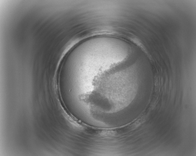 X0000067471466200604101146