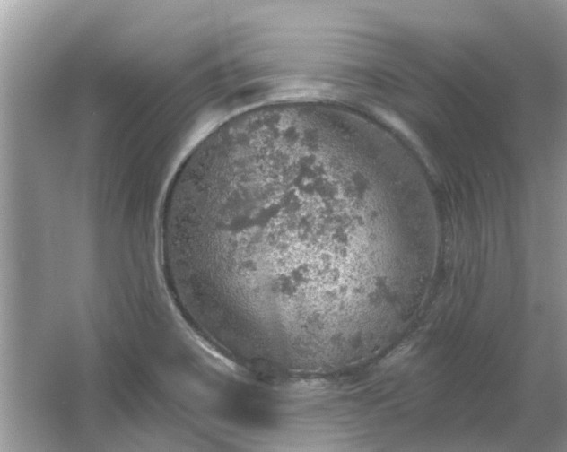 X0000067471467200604101146