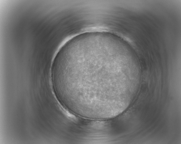 X0000067471470200604101146