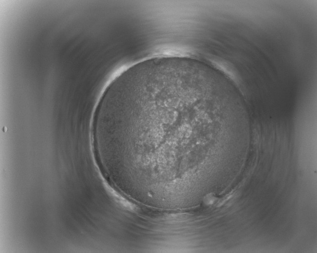 X0000067471471200604101146