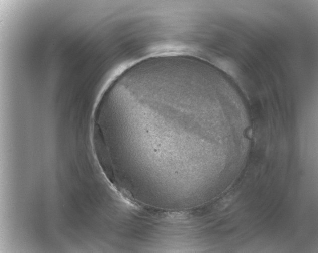 X0000067471472200604101146