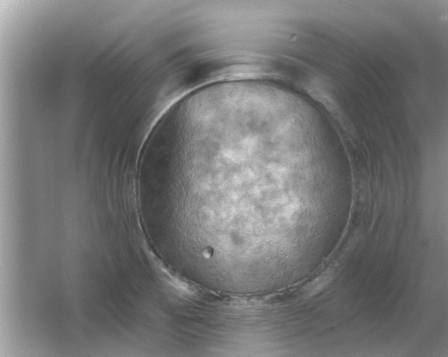 X0000067471473200604101146