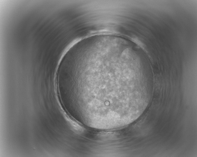 X0000067471474200604101146