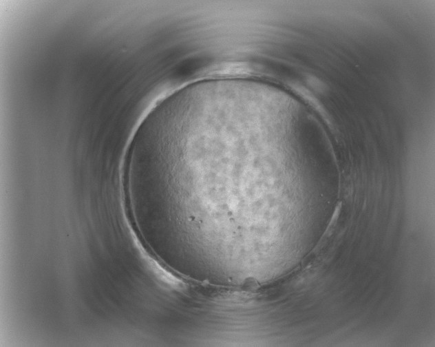 X0000067471475200604101146