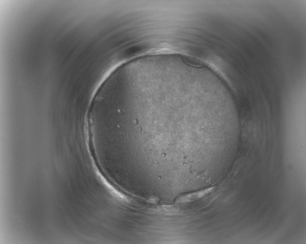 X0000067471476200604101146